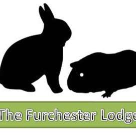 The Furchester Lodge Small Pet Boarding photo